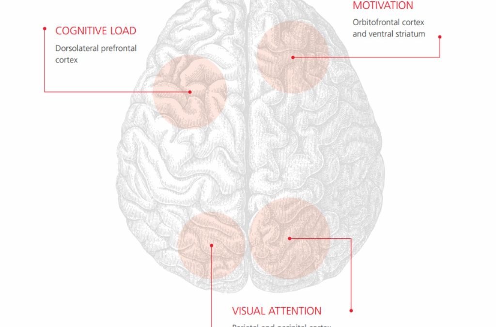 New Canadian Neuromarketing Study Validates Effectiveness of Direct Mail